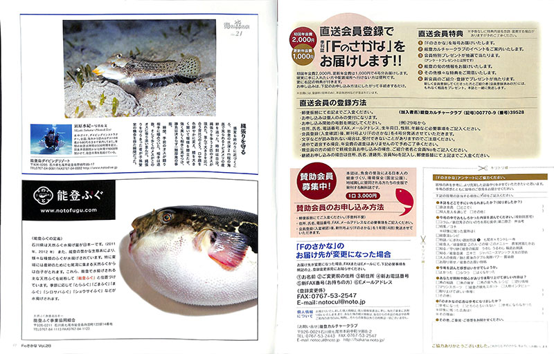 2014年1月23日　Fの魚広告